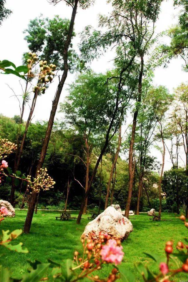 原山|【红色原山】山东原山艰苦创业教育基地｜夏