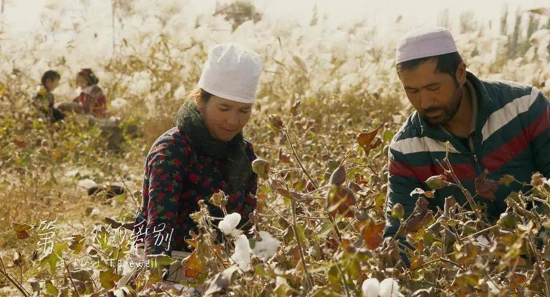 艾萨|她画下了火车，房子，所有不舍的东西，唯独没敢和艾萨告别