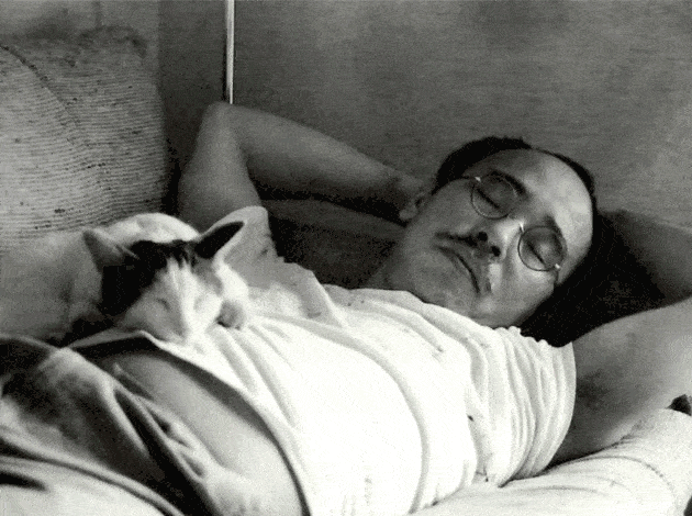 年拍|铲屎官必看!被誉为拍猫教父的他,70年拍猫历史全在这