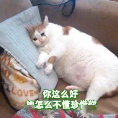 4c48c35144b84d789241f6d733aba287.jpeg