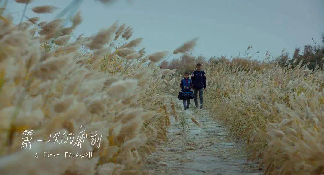 艾萨|她画下了火车，房子，所有不舍的东西，唯独没敢和艾萨告别