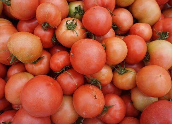 村民|贵阳市息烽县石硐镇：2.5万亩保供基地高标准蔬菜大量上市