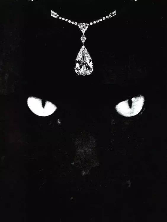 珠宝|这些猫狗身上的珠宝!你居然一件也买不起!!!