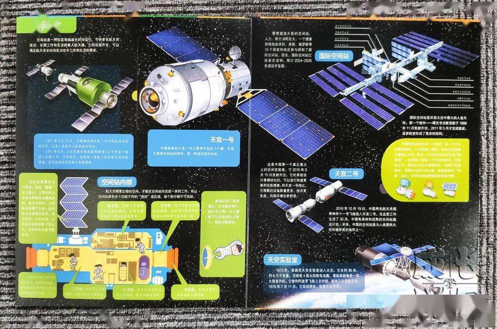 孩子|扔掉电视！一张图说清，7岁以上孩子该读什么书（7岁+）