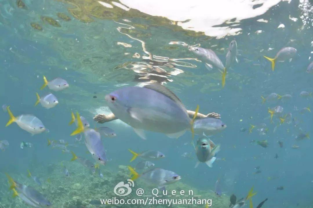 连拍|老娘化妆那么贵，你连拍照都不会