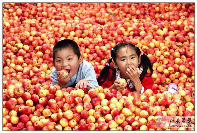 农业|【发言人说小康】希望的田野上——专访农业农村部新闻发言人广德福