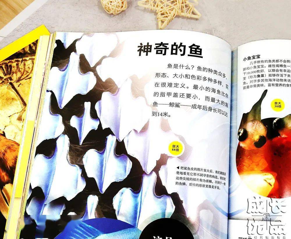 孩子|扔掉电视！一张图说清，7岁以上孩子该读什么书（7岁+）