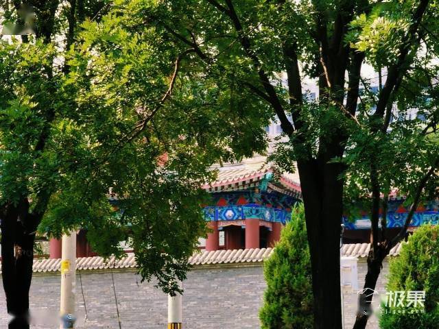 vivo|vivo最强拍照旗舰体验！你与好照片只差一台X50 Pro＋