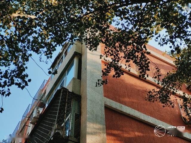 vivo|vivo最强拍照旗舰体验！你与好照片只差一台X50 Pro＋