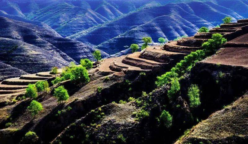 2020年二季度河南省g_河南省地图