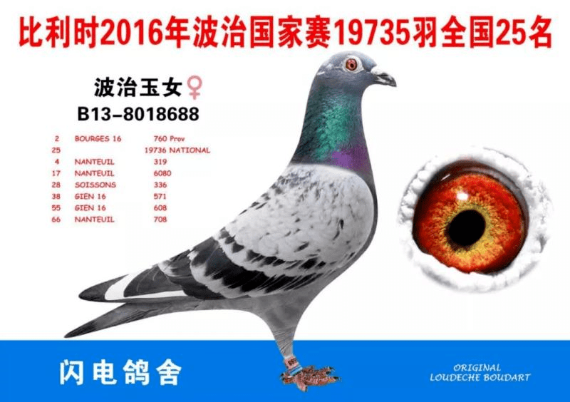09e7a8ebd9704f479e3e6a2f9f04bf88.png