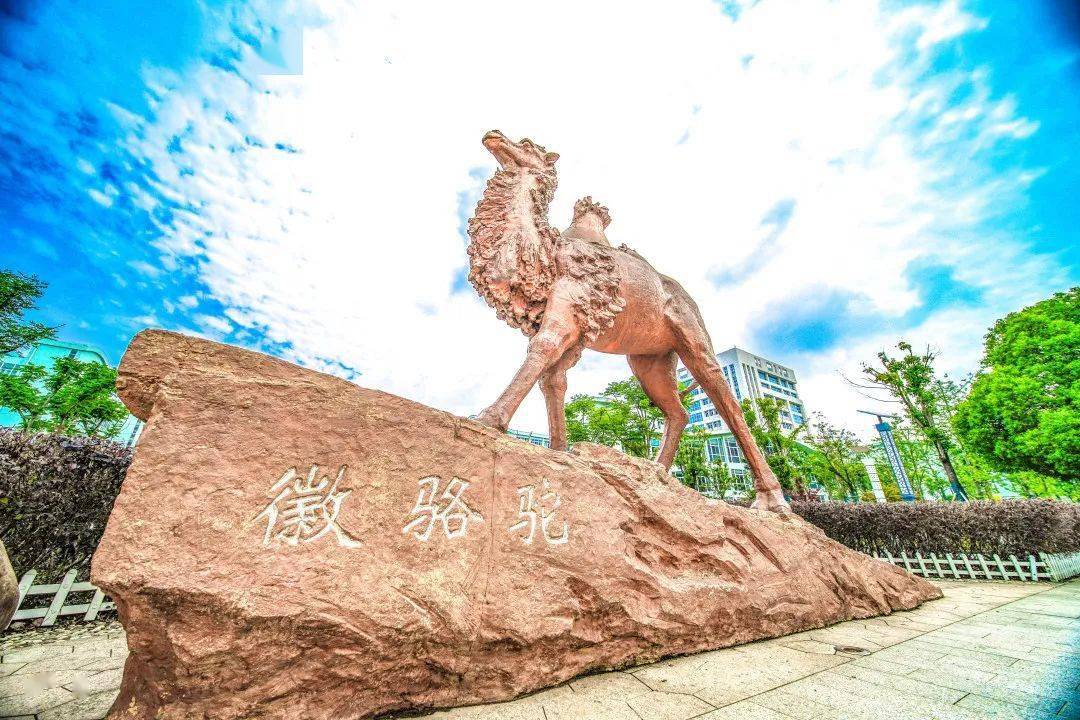 填报志愿开始啦!给你n 1个报考安徽财贸职业学院的理由!