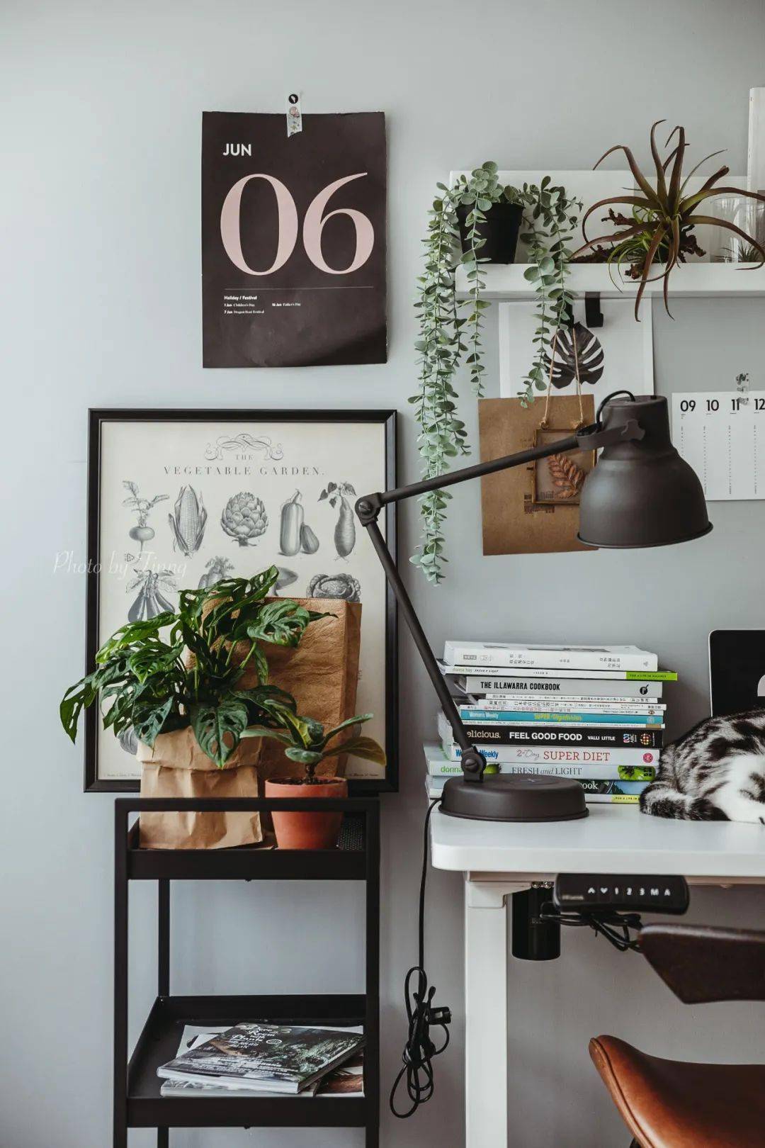 植物|她们的家，美得很让人种草