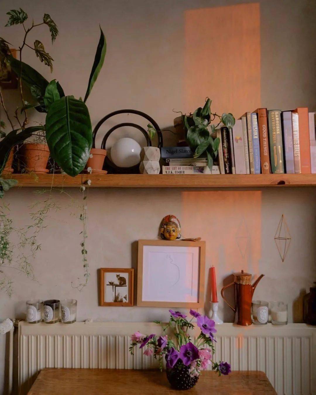 植物|她们的家，美得很让人种草