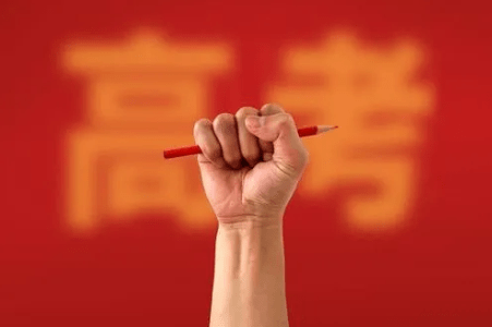 文章|侠客岛：好的文章，怎能“生活在树上”？