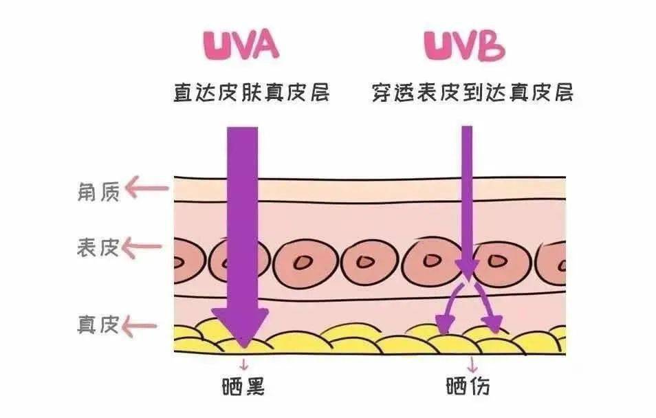 表姐|别再乱买防晒了！都是浪！费！钱！