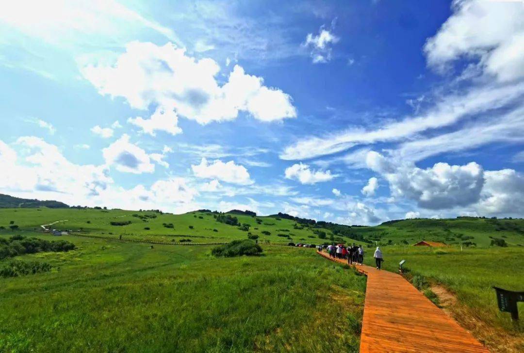 承德名吃排行榜_承德老三羊汤被推荐参加中国金牌旅游小吃评选(2)