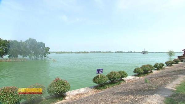 包河区|合肥宣布！全面打响清除巢湖蓝藻攻坚战！