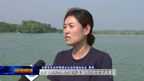 包河区|合肥宣布！全面打响清除巢湖蓝藻攻坚战！