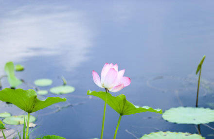 季节|镜头：今日立秋！季节换了名字，依旧风光如故！