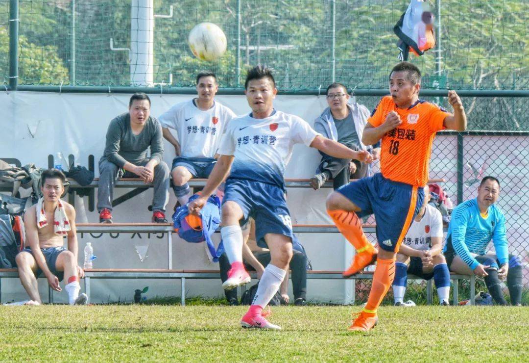 2019年南海区九江镇gdp_南海区九江镇湿地公园(3)