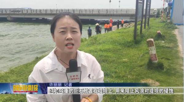 包河区|合肥宣布！全面打响清除巢湖蓝藻攻坚战！