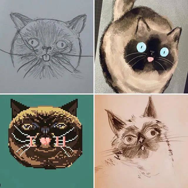 猫咪怎么样才会吐舌头 71cfc4a667704454aa319957310daa2c.jpeg