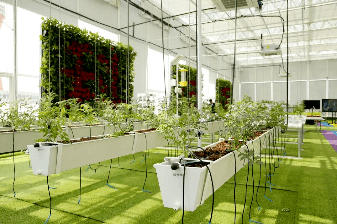 江宁|南京江宁“织造”幸福小康：用科技“智慧”为养老等产业赋能