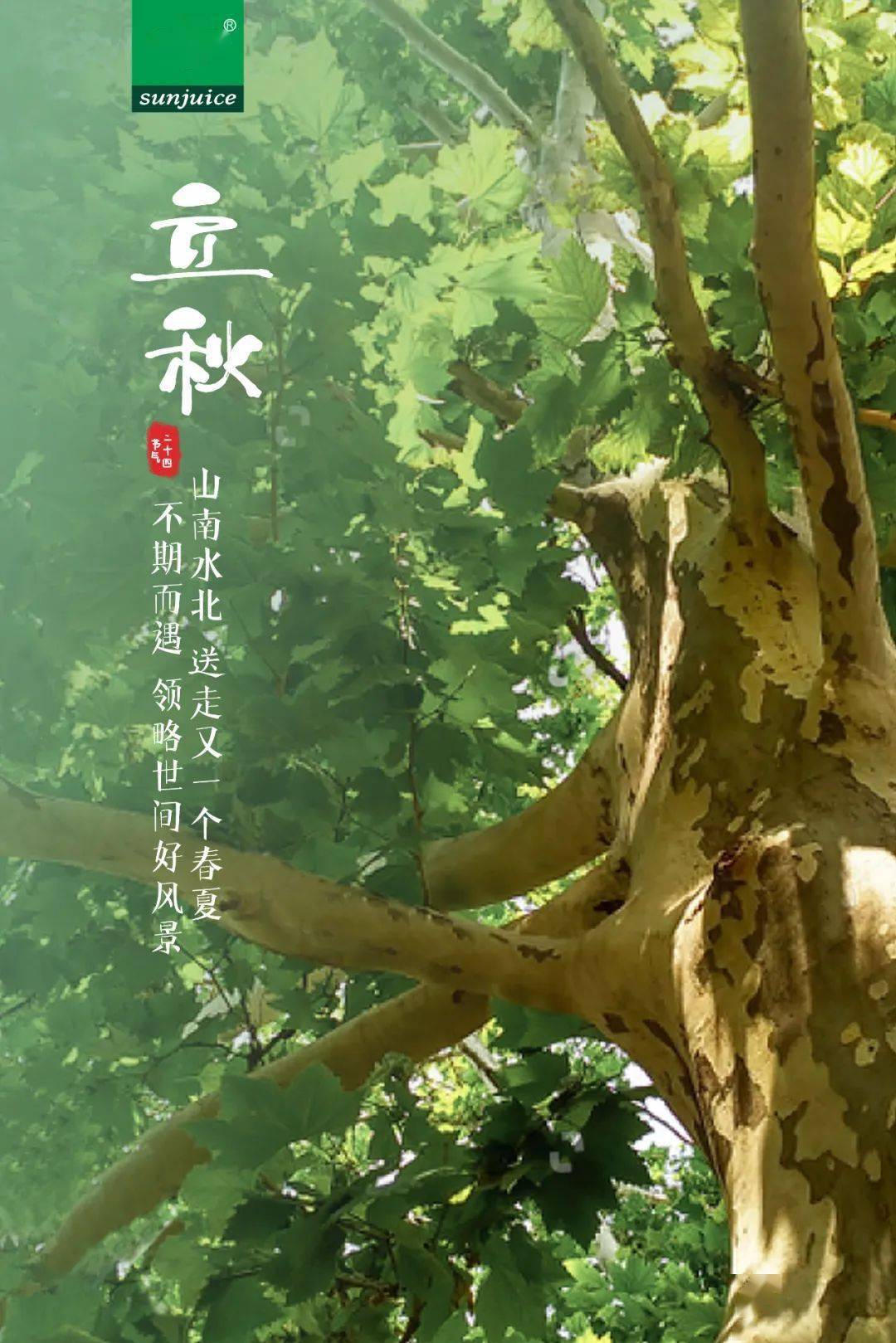 听说美好,你是翘首以盼的惊喜