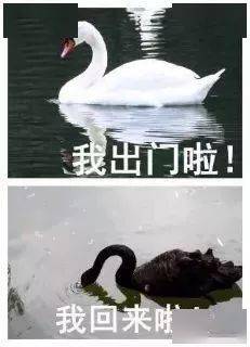 什么时候才能下点雨 dd366a6336484dcaa7696c5b1a89c084.jpeg