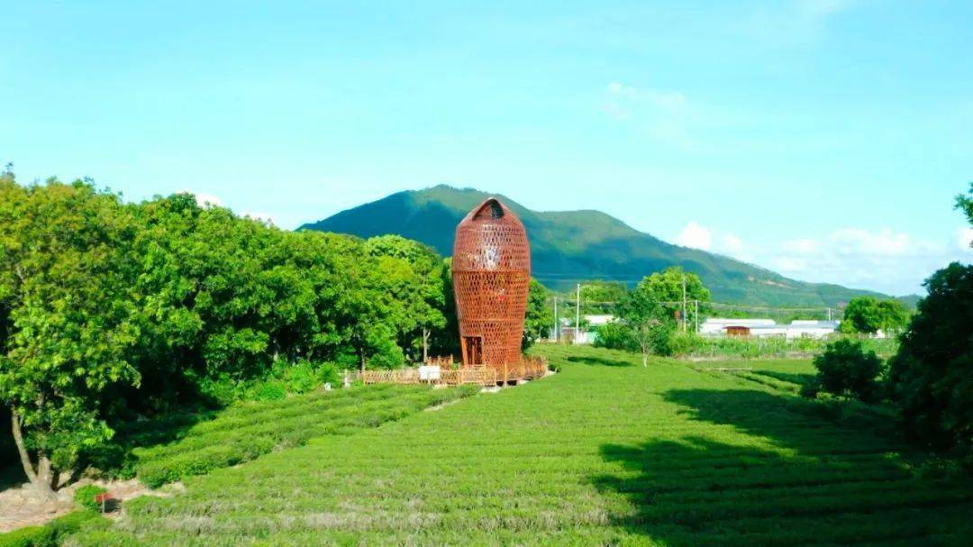 乡村振兴示范带坐落于具有粤东第一高峰之称的莲花山下,串联温厝村,建