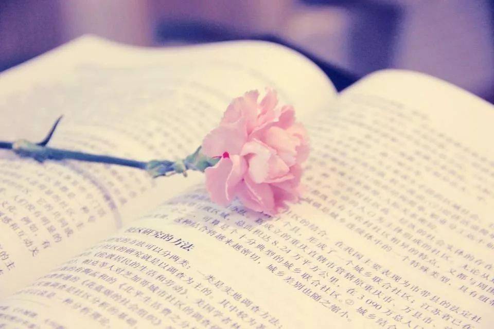 品味书香的一段话 53baa00e9f6d4aa4ae9dd15a8eda355a.jpeg