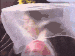 刘晓庆|「第一古典美人」走了:她们的美,才是永远的经典