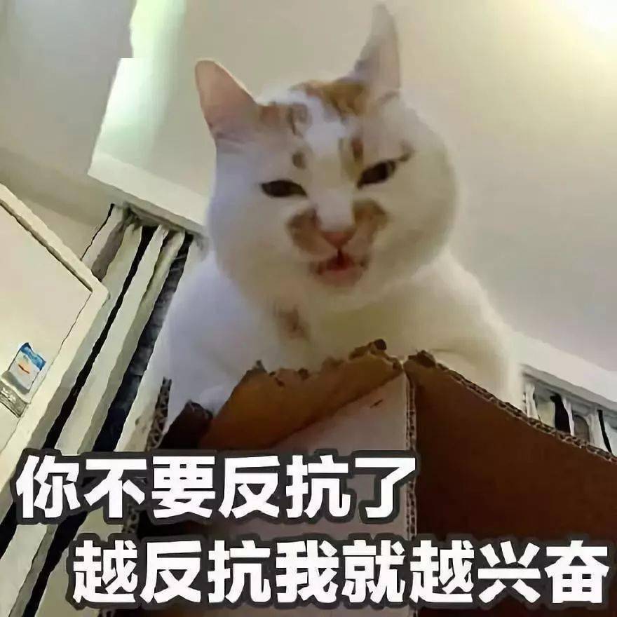 老婆死了男的孤独终老猜成语_孤独终老图片(3)