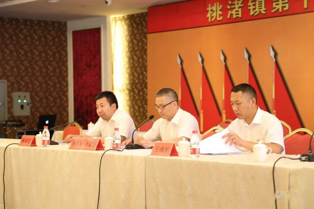 桃渚镇第十七届人民代表大会第七次会议胜利召开