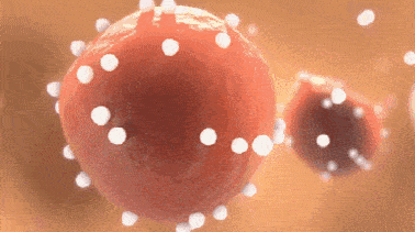 口腔|重度口臭者不刷牙，却依然口气清新？他只做了一件事...