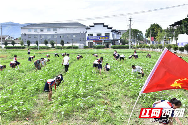 教育|醴陵：分布式体验教育，让学生快乐成长