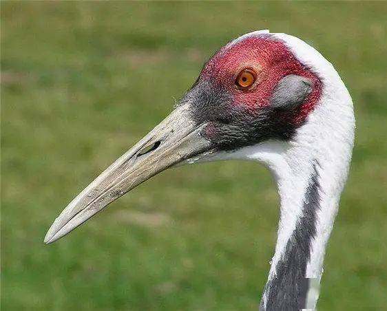 5c38aaa96fcb4e7784605bf69f24547d.jpeg