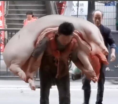 每天背2、30头猪最重500斤，贵阳“背猪大汉”走红网络