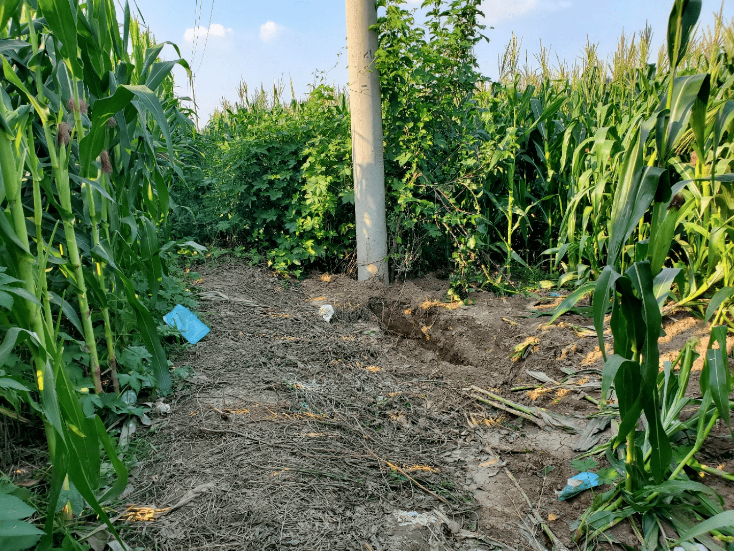 赃款|河北12岁女孩被绑架杀害 警方：2名嫌疑人被刑拘，缴获赃款100万