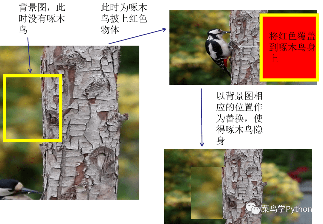 什么根据啄木鸟头的原理制造(3)