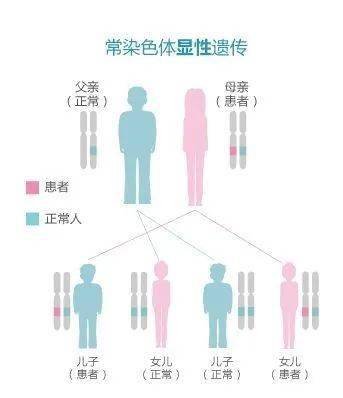 【瑞健国际】科普|罕见病亨廷顿病的遗传方式_基因