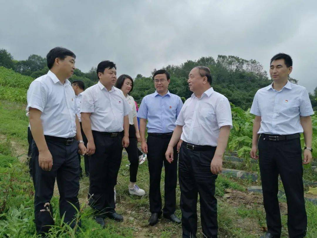 会前,省委常委,组织部部长张广智在老县镇,长安镇金沙河村调研党建