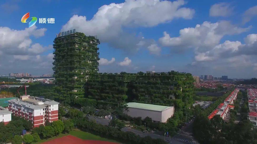 美的集团2020年排名_美的置业位列“2020广东省百强民营企业”32名,上升