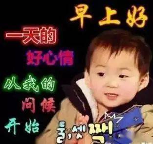2779b5151bb64b02b20a77e1786cc002.jpeg