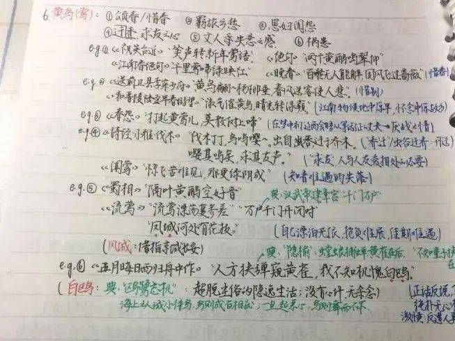 7ac384fffb0d4068986a11d252cd1139.jpeg