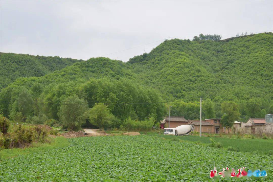 拜林市人口_人口普查