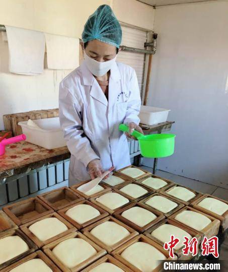 创业|“奶酪姑娘”敖能的乡土情怀：让草原味道“走”向全国