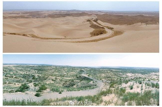 毛乌素|众志缚沙数十载还绿洲新颜 毛乌素千年沙海变绿洲