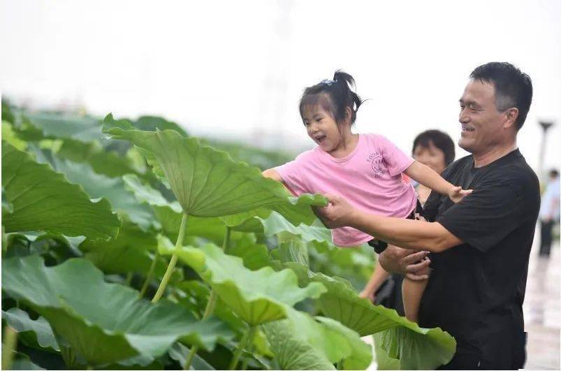 济宁小吃排行_济宁美食~金秋饮食店(2)